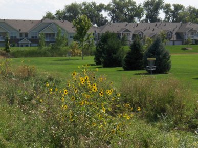 Pioneer Park Disc Golf Picture