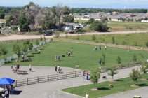 Overhead view of dog park at Freedom Park