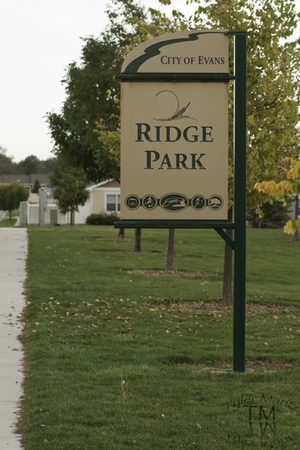 Ridge Park Sign